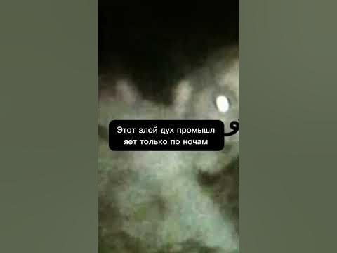 КТО ТАКОЙ ЫРКА?!#youtubeshorts #рекомендации #Ырка#shorts - YouTube