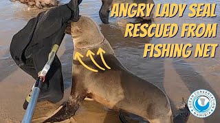 Angry Lady Seal Rescued from Fishing Net