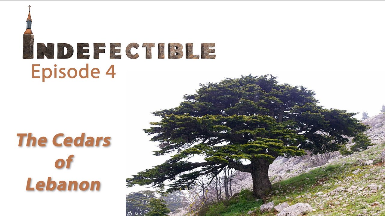 COMING SOON:  Indefectible Episode 4
