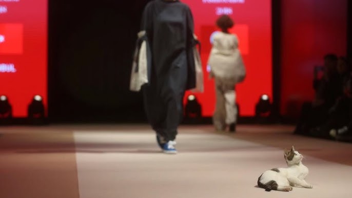 Chanel model walks a dog on the catwalk