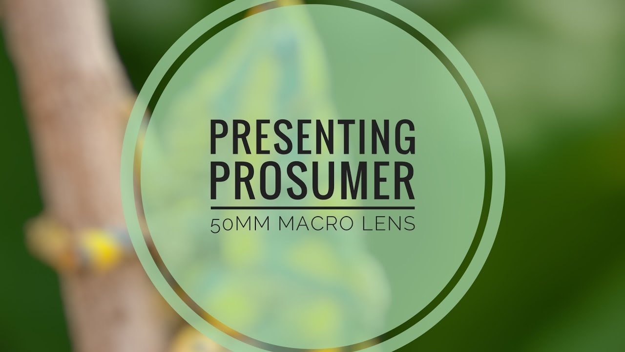 presenting nikon prosumer p50mm macro lens. 