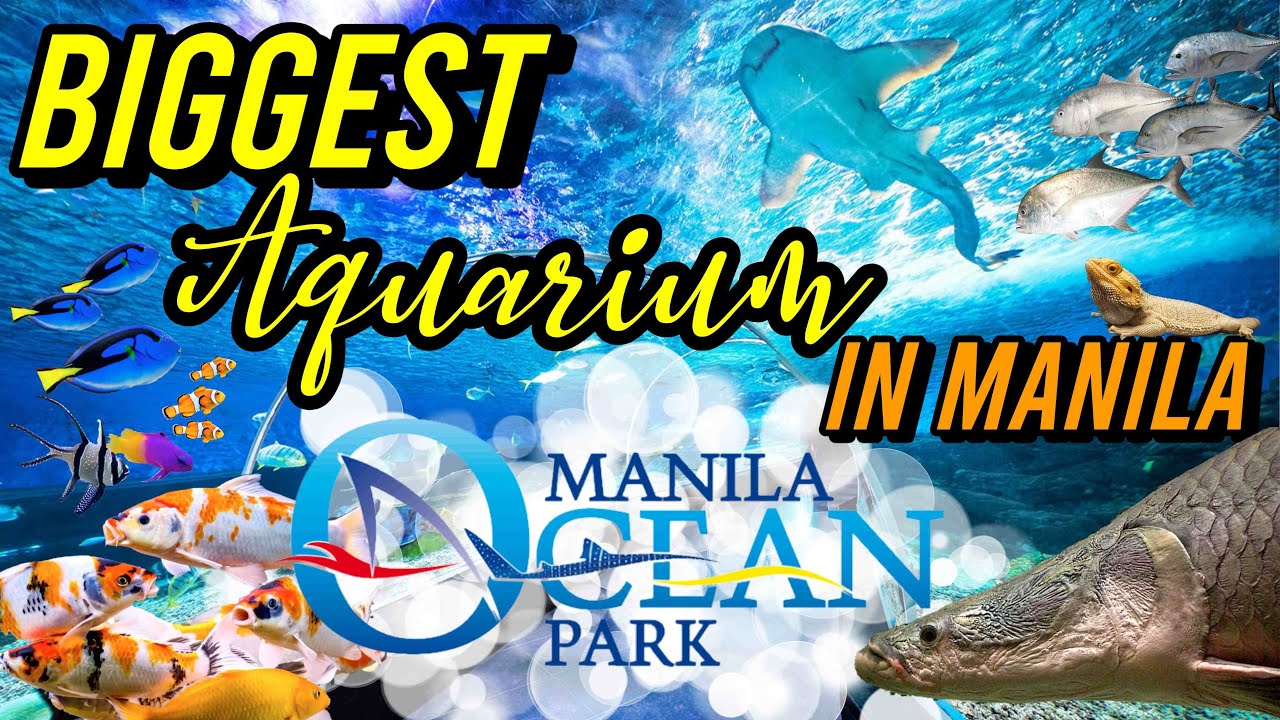 BIGGEST AQUARIUM IN MANILA!!! | MANILA OCEAN PARK | FISH | FRESH WATER | SALT WATER | REPTILES