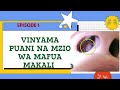 VINYAMA PUANI NA MZIO WA MAFUA MAKALI Nasal Polyps And Allergic Rhinitis EPISODE 1