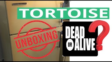 First Time 📦Unboxing 📦My Hibernating🐢Tortoise 2019🐢