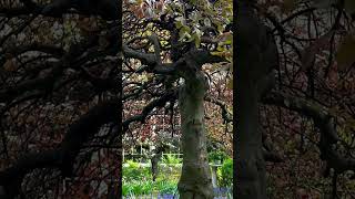 A Glorious Spring Day in May! 5/8/2023