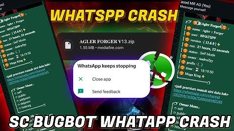 Whatspp Bugbot 2025 | How to crash Whatsapp With Message | Whatspp Crash Kasy Kary | New Bugbot File