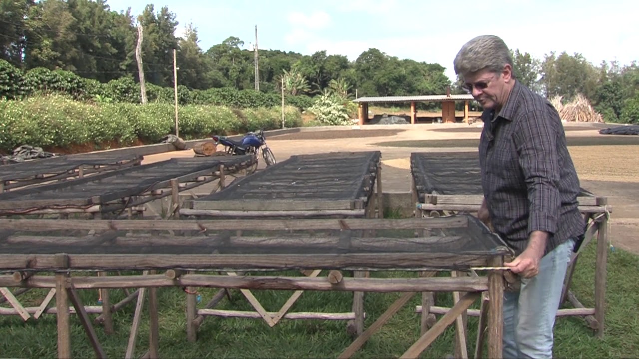 Dica Técnica: Como montar um terreiro suspenso de café (22/06/19)