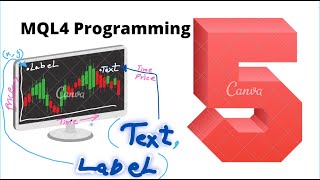 draw text and label in mql4 programming mt4