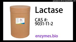 Lactase Enzyme Manufacturers CAS 9031112