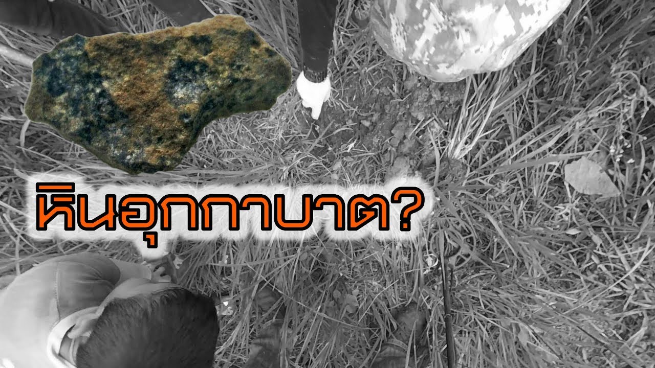 Treasure Hunters นักล่าสมบัติ EP26 พื้นที่รกร้างข้างวัด eddy kim