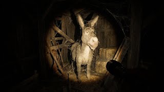 They FOUND the Shrek Characters in an ABANDONED Cabin! (Fan-Made AI Story)