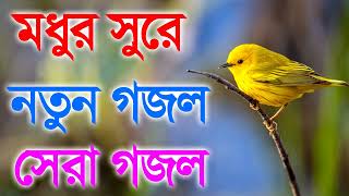 Bengali Islamic Naat || ইসলামিক সেরা ৫টি গজল || Amazing Islamic Song || Bangla Hit Gojol 2023