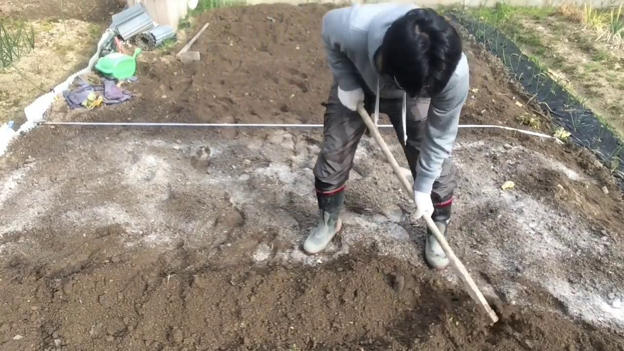 貝殻石灰を土に混ぜる Mixing Lime Powder With Soil Youtube