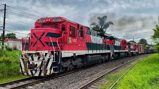 Veteranas al Norte, Carros Nuevos, Químicos y más en el Sureste Mexicano!!