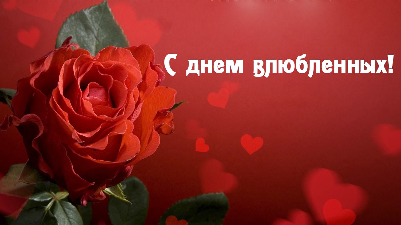 Поздравления С Дне Святого Валентина