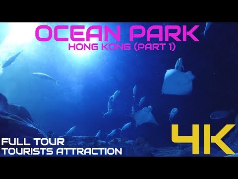 ОКЕАНСКИЙ ПАРК ГОНКОНГ ЧАСТЬ 1 (ULTRA HD 4K) | ПОЛНЫЙ ТУР |香港海洋公園