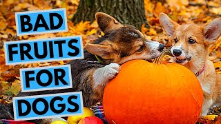 TOP 10 Toxic Fruits and Vegetables for Dogs Top Fruits And Vegetables That Your Dog Should Never Eat
