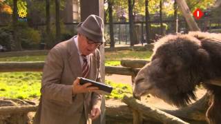 Andre Van Duins Animal Crackers 2013 S01E06