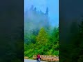 Islamic video
