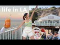 life in LA | day in ucla, malibu beach & birthday celebration
