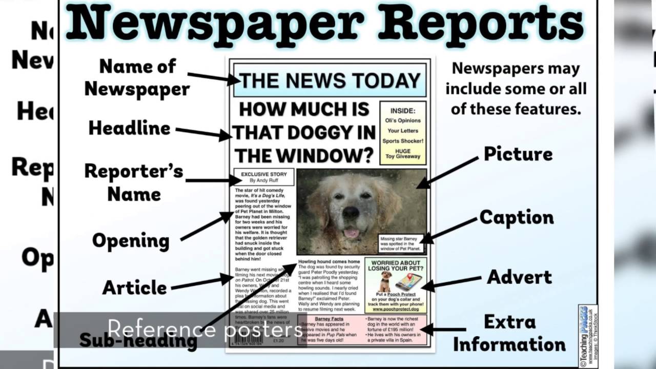 structure of a newspaper report