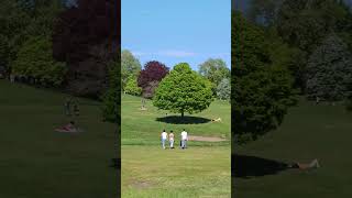 Beautiful Kenwood house in the sunshine #kenwood #walking #park #friends #sunshine