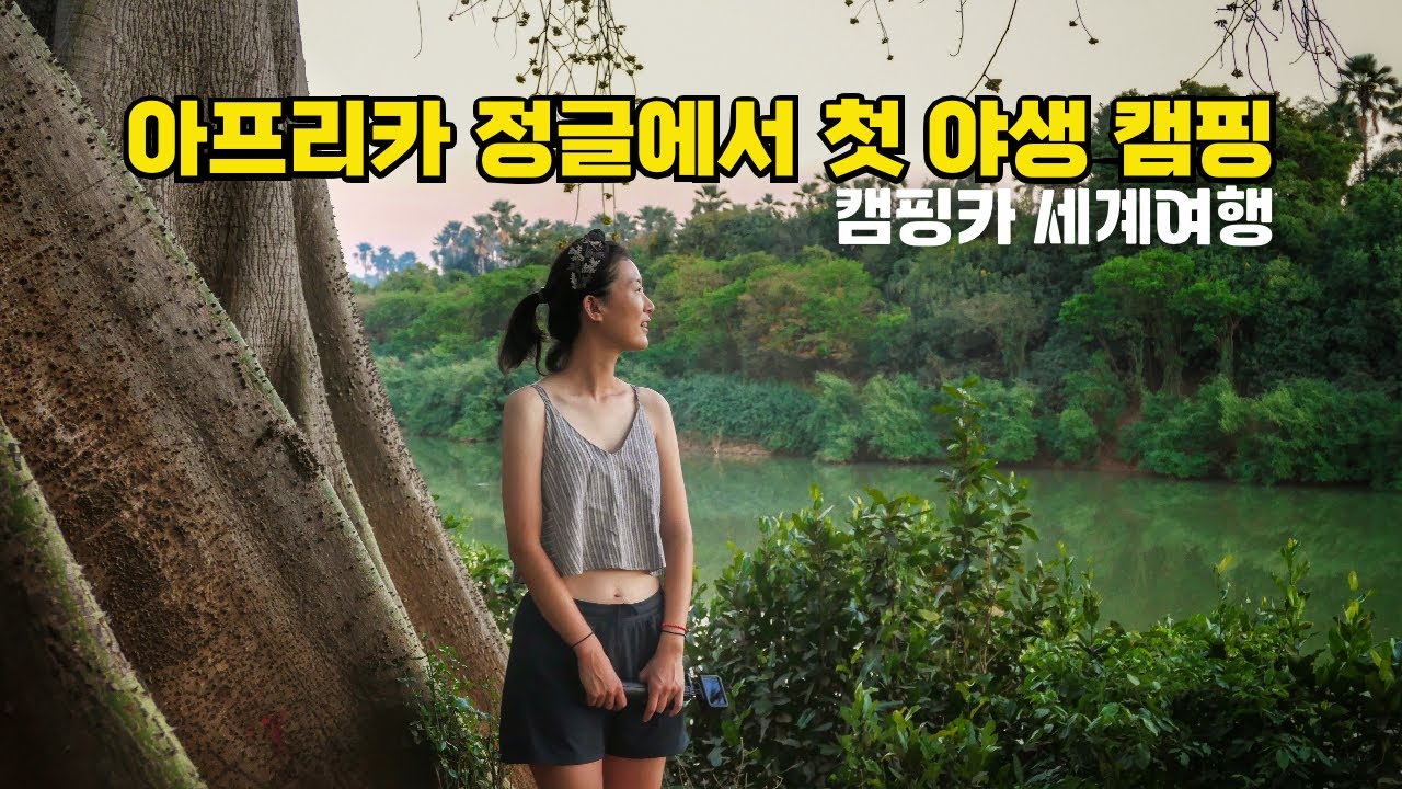 집 없는 삶을 선택한 결과, 아프리카 정글에서 첫 야생 캠핑에서 야생동물 만나기 도전!