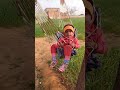 🎷🎨🎼🎯🎯cute baby hammock karta hua🎼🎼🎼🎹🏵🎭🎨🎧🎷🎹🎰