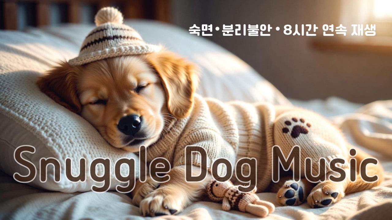 🐶강아지 수면음악 8시간 피아노 | 불안완화·진정 | 외출할 때 틀어두는 금동이 수면루틴🐶💤