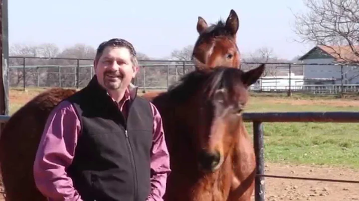 Colloidal Silver for Horses by Mark DePaolo, DVM