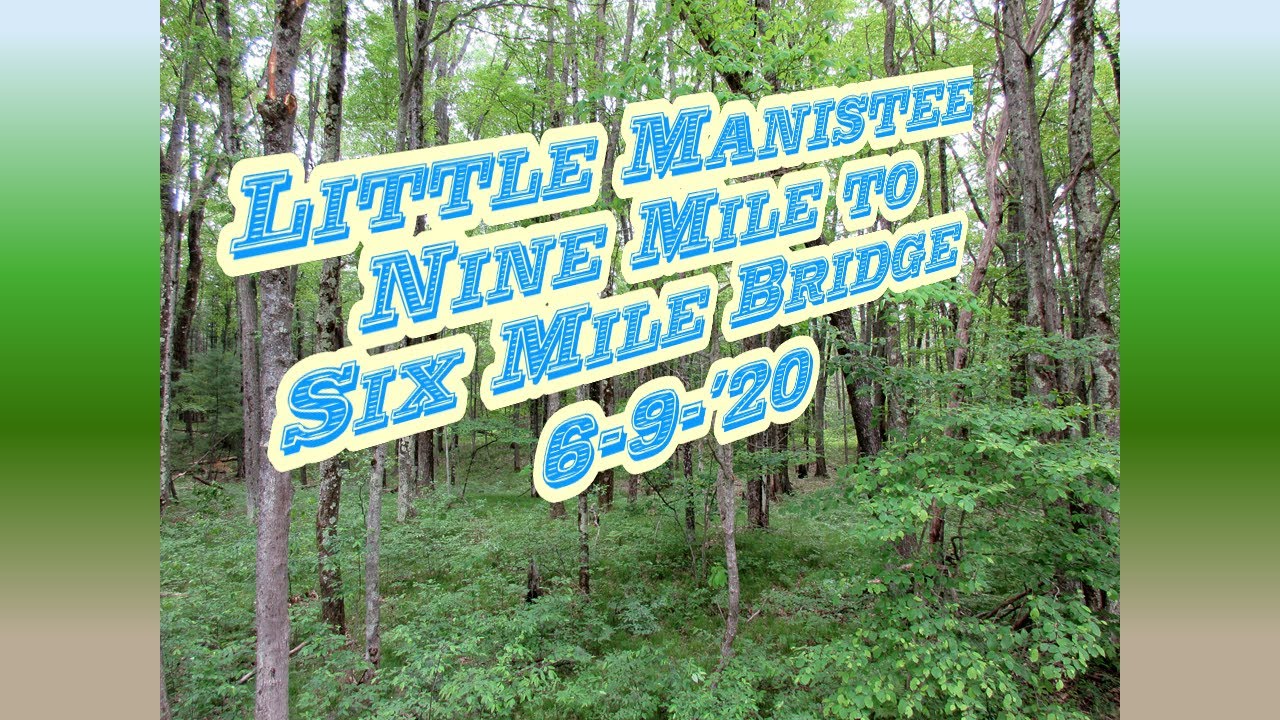 Little Manistee River Nine Mile Bridge to Six Mile Bridge 6/9/'20