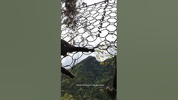 Moutain Slope Protection Ring Net Connecting And Installing Process- Tips Tools Easyway Easywork !