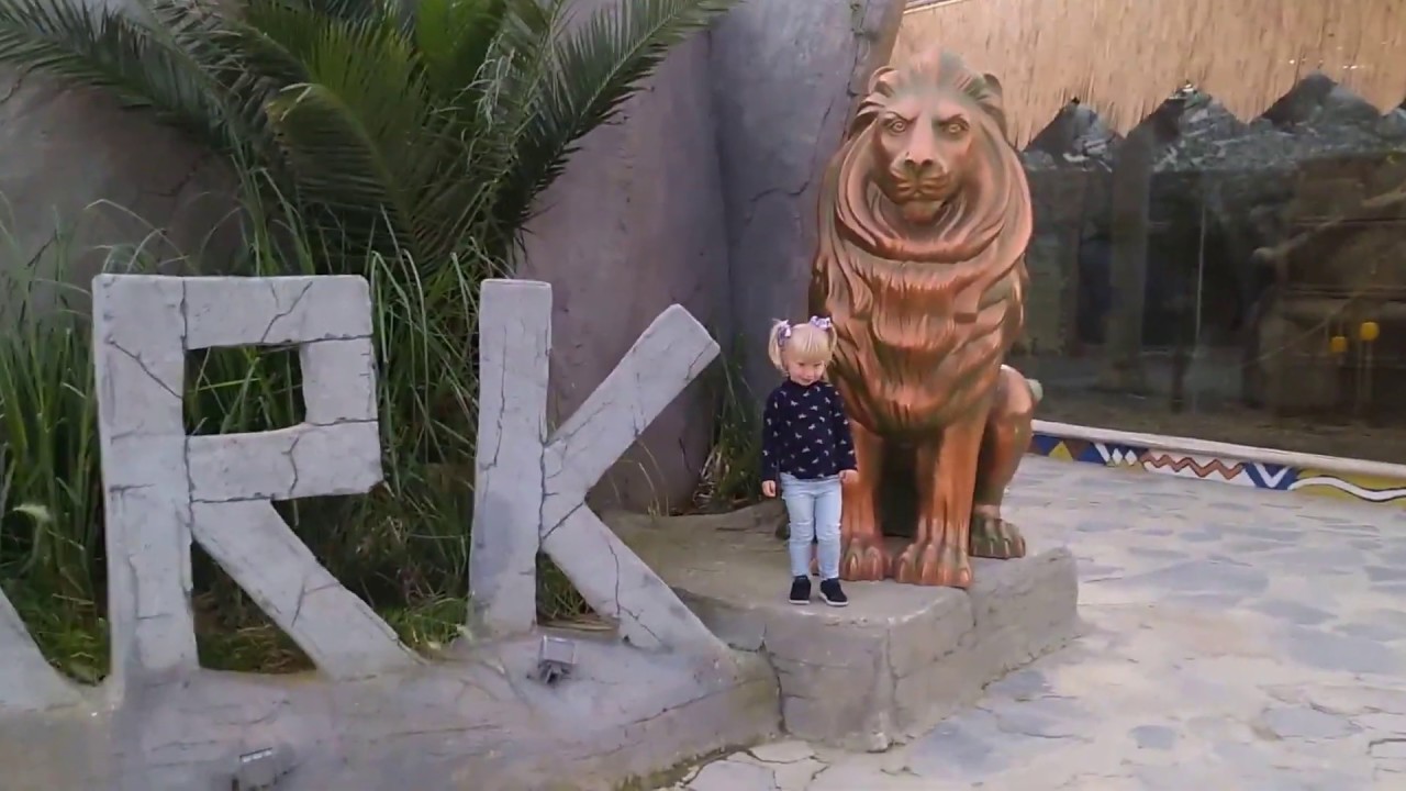 Viaport Marina Aslan Park, Wild Cats