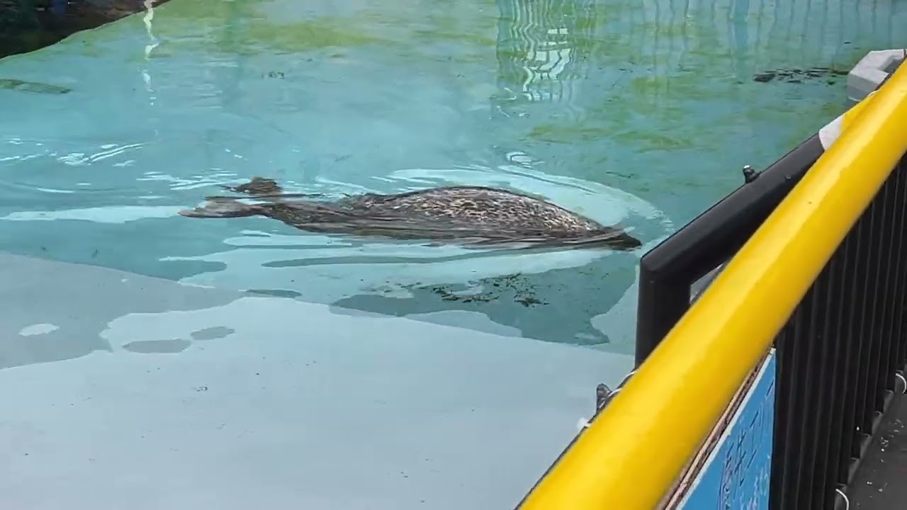 2024 09 02 13 48 IMG 5760