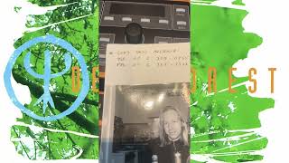 September 15, 1992 → 2025, Deep Forest – 33 Years Since It All