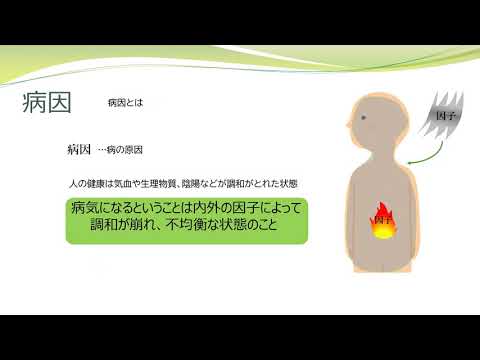 【東洋医学を学ぼう】病因論