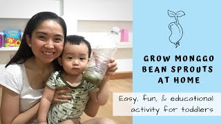 How To Grow Monggo Bean Sprouts At Home In Plastic Bottle | Toddler Activity Time | Tinco Was Here