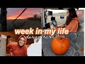 a week in my life (during corn harvest)