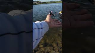 Рыбалка на фидер!Фидер разрывает!Лучшая рыбалка за долгое время🎣🔥#fishing#рыбалканафидер#рыбалка#лещ