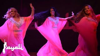 Khaleeji (خليج) to Bastans with belly dance group Tamally (Katja, Efti, Kimia), Sweden 2016