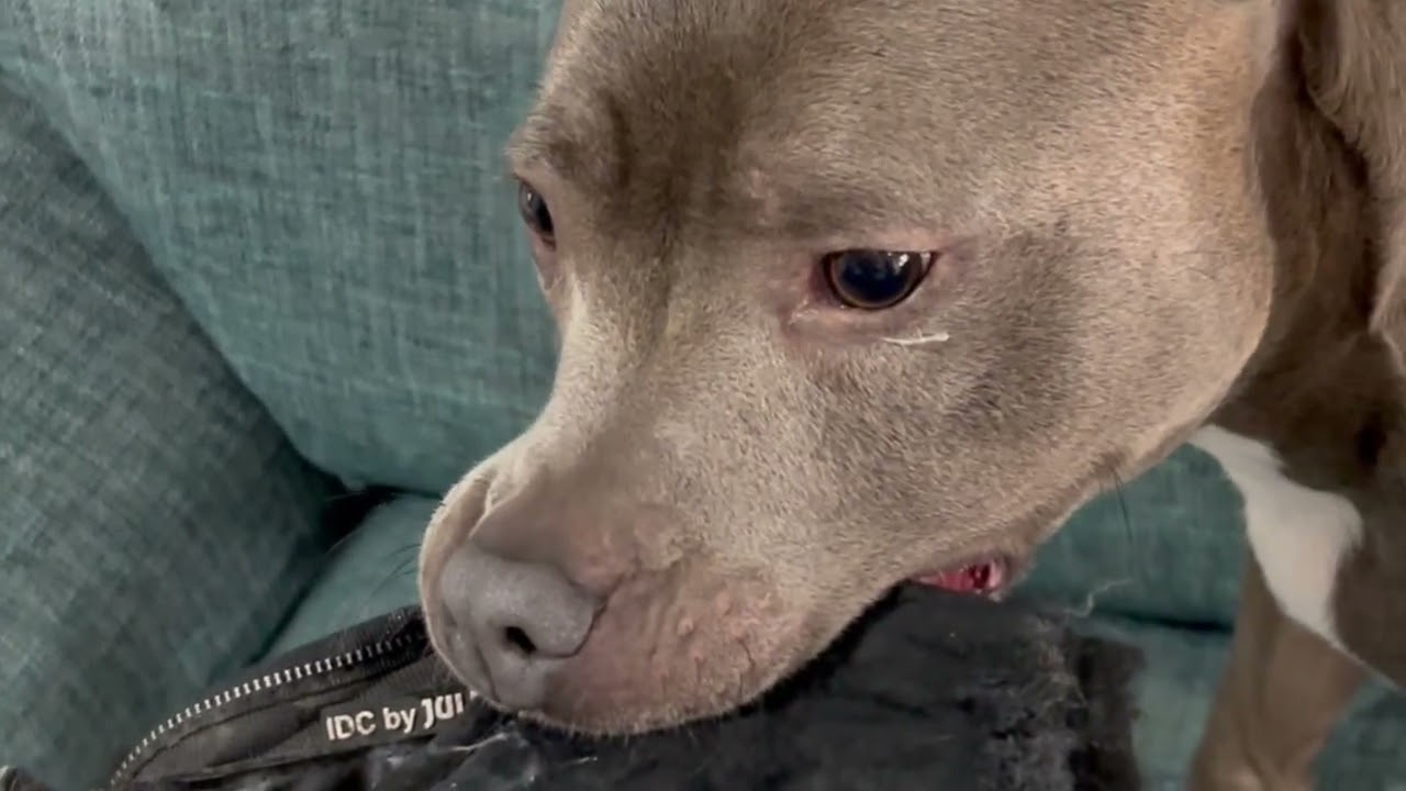 Playin Dad up Ay I !!