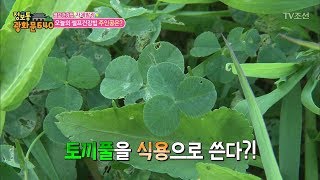 매일 풀을 뜯어먹는 여자, 왜 [정보통 광화문 640] 49회 20170907