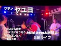 Mild-beat&amp;総科大学 合同ライブ2023わをん(ヤユヨのコピーバンド)