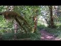 UNINTENTIONAL ASMR, OXBOW PARK IN OREGON, USA, SANDY RIVER, АСМР, ОКСБОУ ПАРК В ОРЕГОНЕ, США