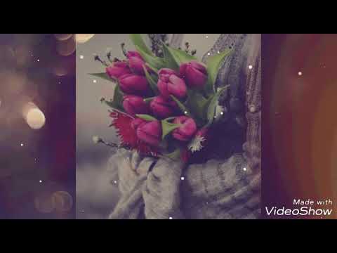 ถ้าหากไม่รัก - โรส ศิรินทิพย์
