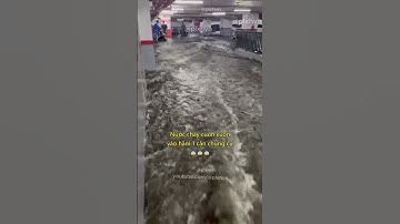 Nước chảy cuồn cuộn vào hầm 1 căn chung cư 😨 #mualu #ngaplut #chungcu #thoitiet #tintuc #tinnong