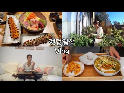 요양의 주말, <strong>우동</strong> <strong>만들기</strong>, 토마토 수확!
