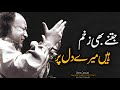 Jitne bhi zakham hai mere dil par nusrat fateh ali khan by am qawali