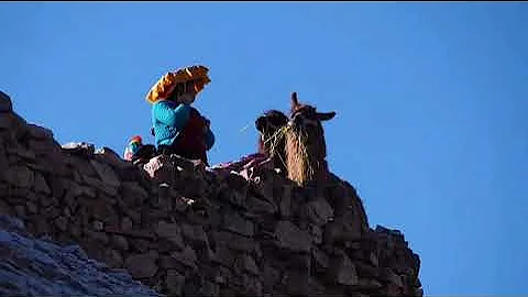 Continuing Education (CE), Clinical Training & Therapist Retreats | Renew Psychotherapy Center