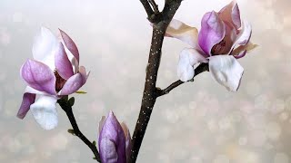 Painting MAGNOLIAS with Golden OPEN Acrylics